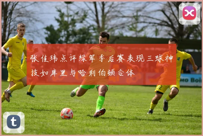 张佳玮点评绿军季后赛表现三球神技如库里与哈利伯顿合体