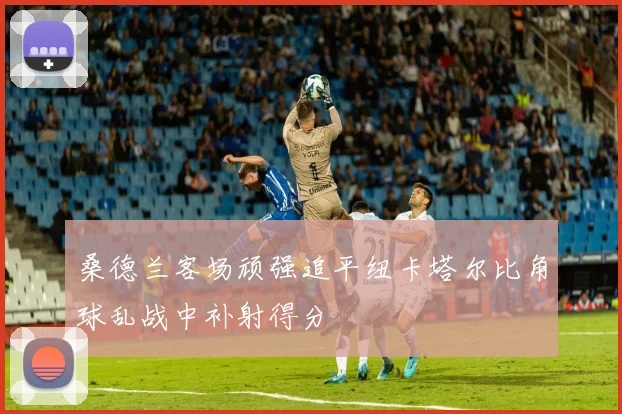 桑德兰客场顽强追平纽卡塔尔比角球乱战中补射得分