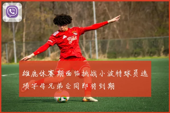 雄鹿休赛期面临挑战小波特球员选项字母兄弟合同即将到期